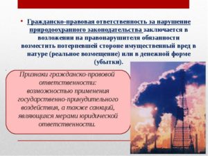 Гражданская практика в отношении экологических правонарушений примеры