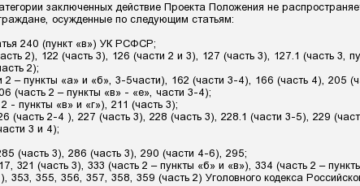 Есть ли амнистия на 228