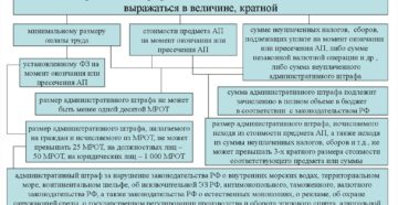 Через сколько аннулируется административный штраф