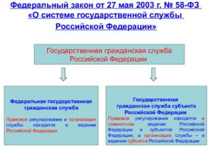 В чем отличие государственной службы от государственной гражданской службы