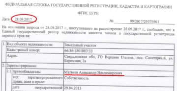 Где указан номер записи в выписке егрн