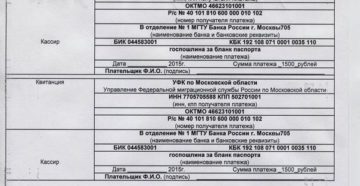 Реквизиты Для Оплаты Штрафа По Утере Паспорта В 2020 Году