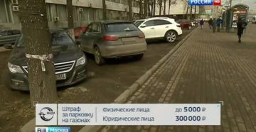 Штраф на газоне неправомерно мади