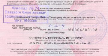 Как Пройти Мсэ На Инвалидность Без Проблем