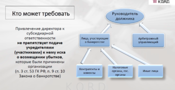 Практика по долгам ооо и ответственности директора